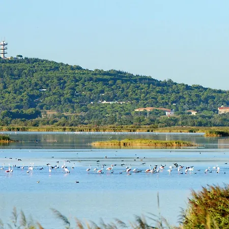 Domaine Grand By Interhome Apartment